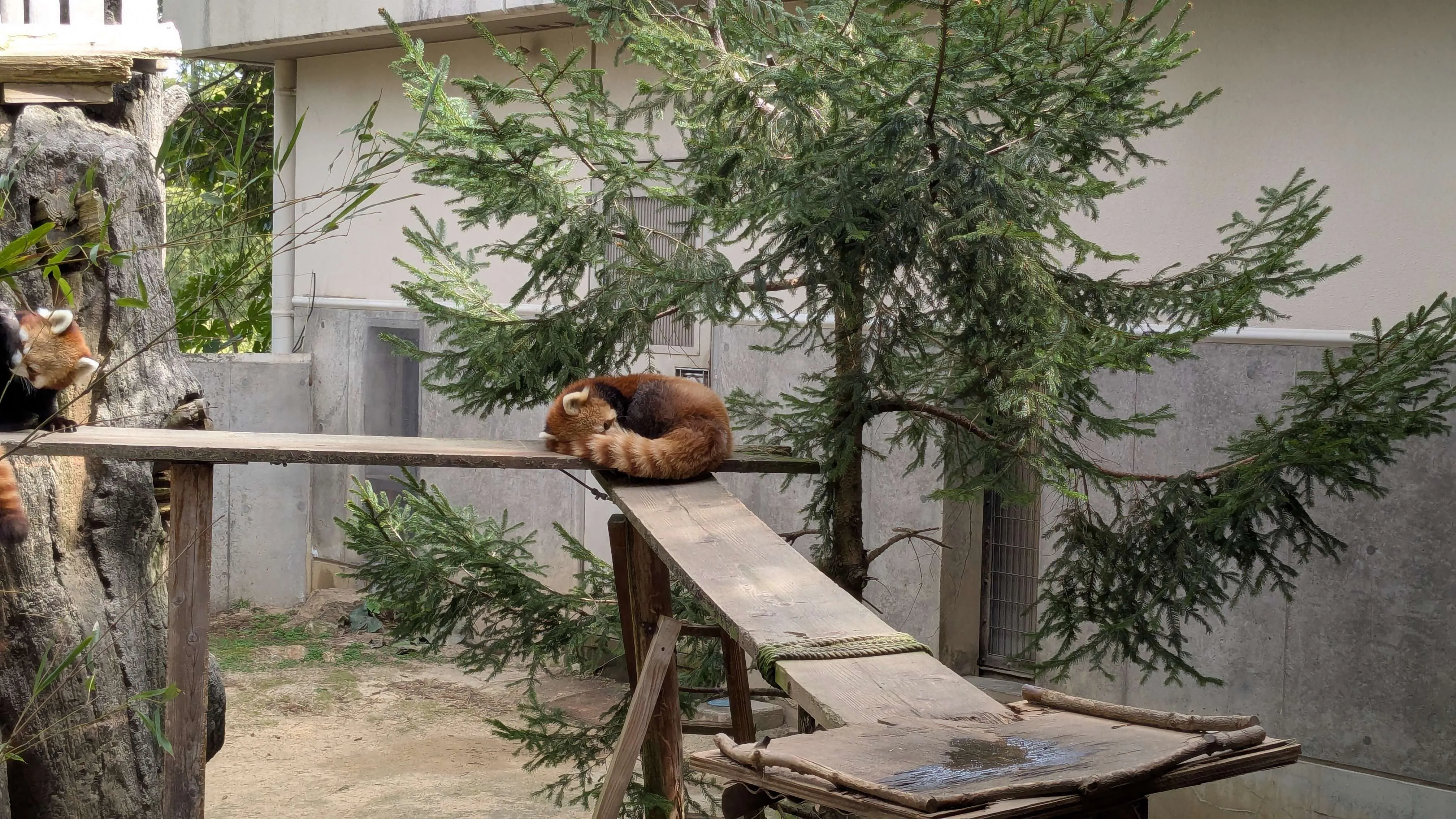 寄稿者のアバター